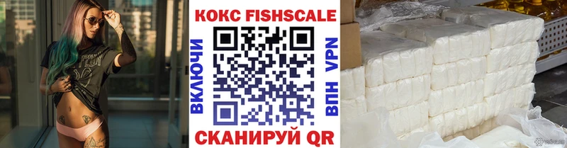 Cocaine FishScale  Купить  Абаза 
