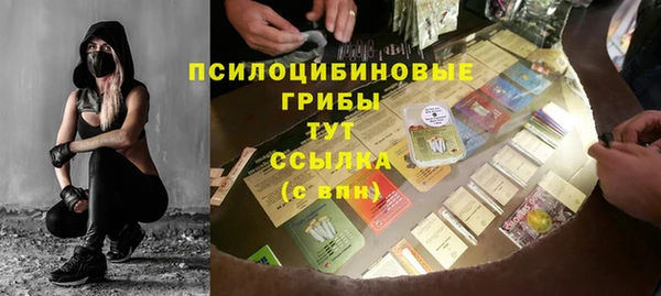 Альфа ПВП Богородск